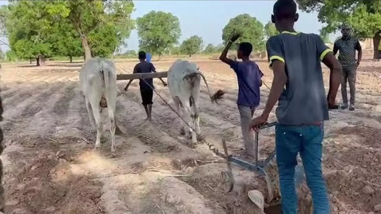 KA BARA TCHI CHERCHE À SAVOIR SI ON TRAVAILLE PAR PASSION OU L’ARGENT