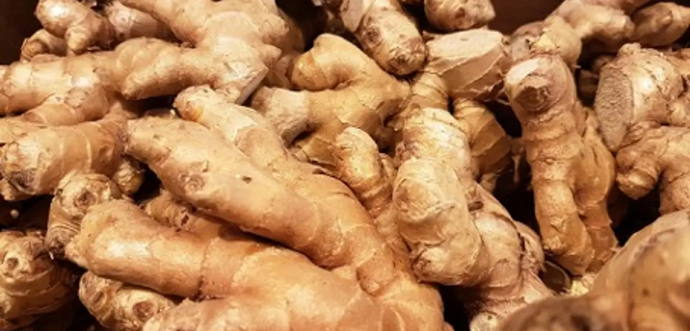 GINGEMBRE, LA STAR RARE DU RAMADAN 2026 : Le kilo vendu entre 2 500 et 3 500 francs à Bamako