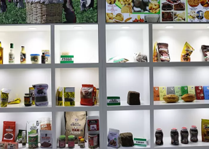 2026, année des échanges humains et culturels Chine-Afrique : le dialogue des cultures pour parer à l’arbitraire