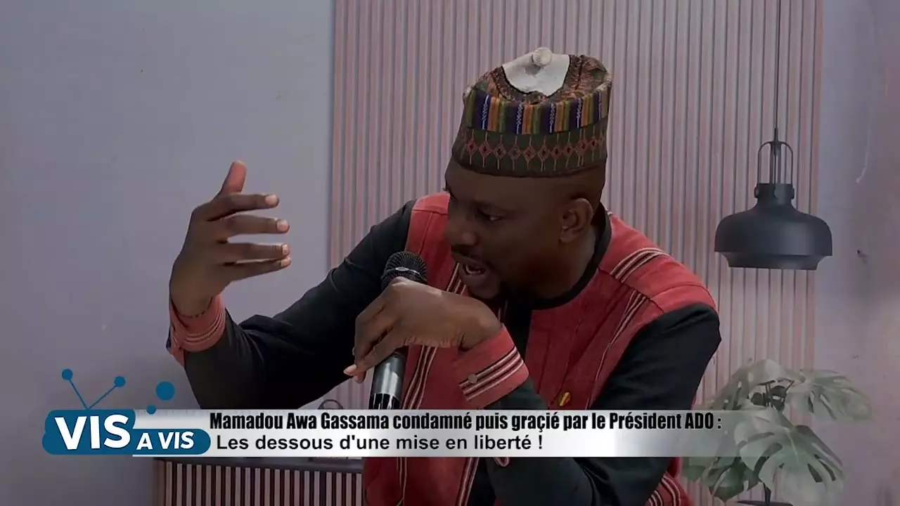 VIS A VIS DÉCORTIQUE LES DESSOUS DE LA LIBÉRATION DE MAMADOU HAWA GASSAMA