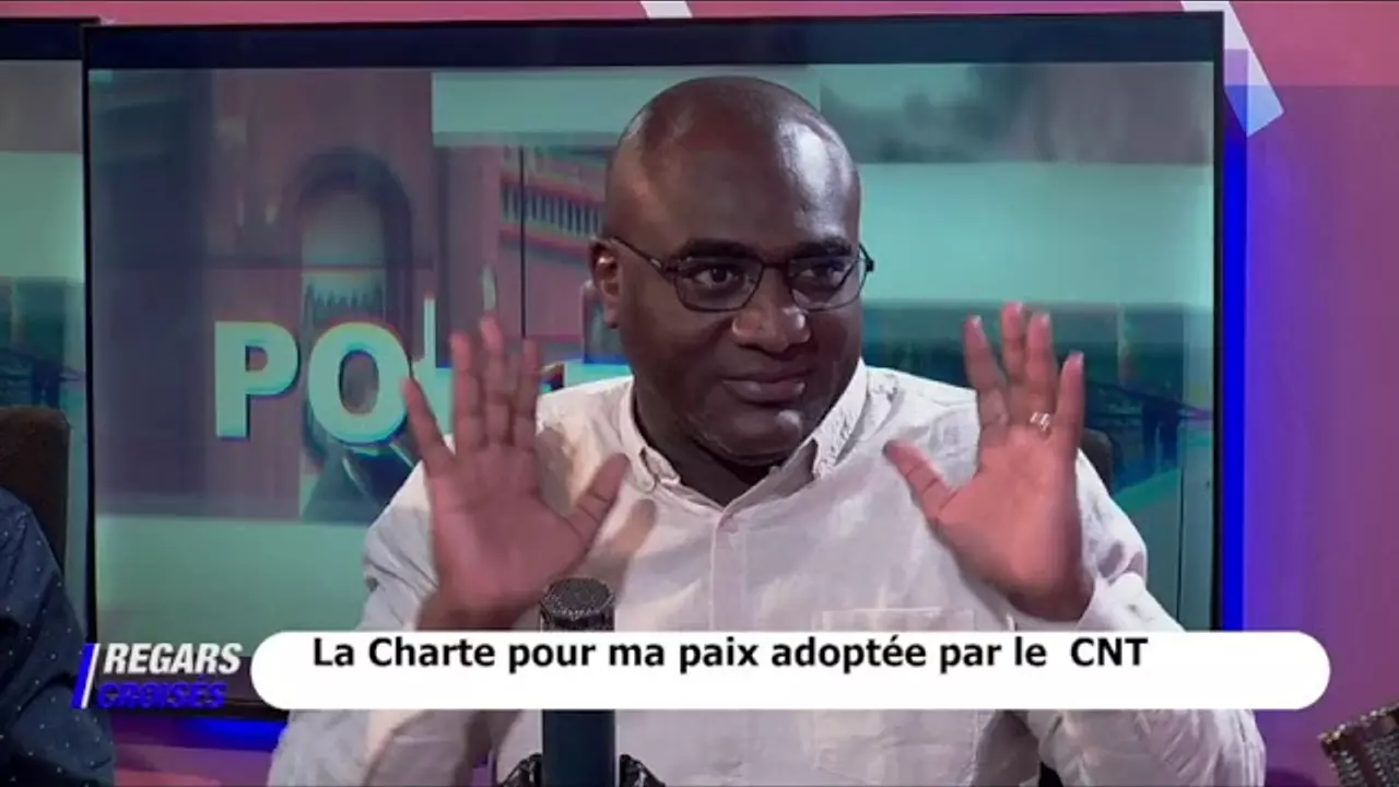 REGARDS CROISÉS DÉCORTIQUE L’ADOPTION DE LA CHARTE POUR LA PAIX PAR LE CNT