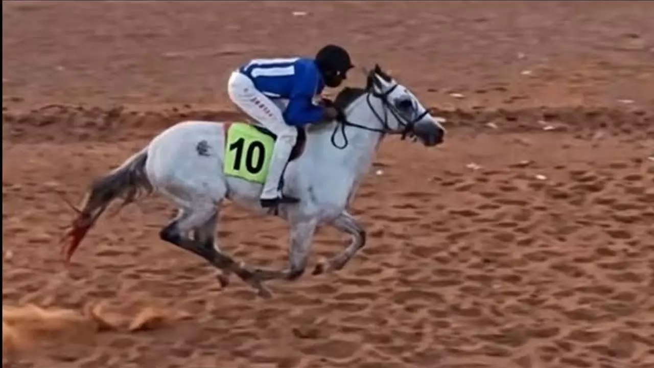 À NOUS LA TÉLÉ AVEC LE JOCKEY DU CHEVAL FERRARI