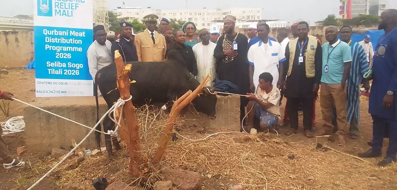 Opération Tabaski 2026 : Islamic Relief Mali distribue 5 815 taureaux entre ménages vulnérables