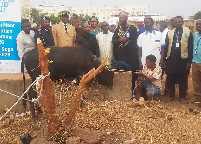 Opération Tabaski 2026 : Islamic Relief Mali distribue 5 815 taureaux entre ménages vulnérables